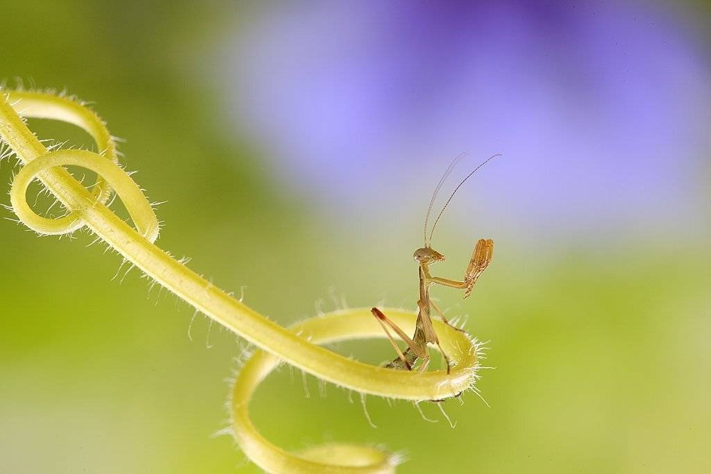 , Сергей Таланов