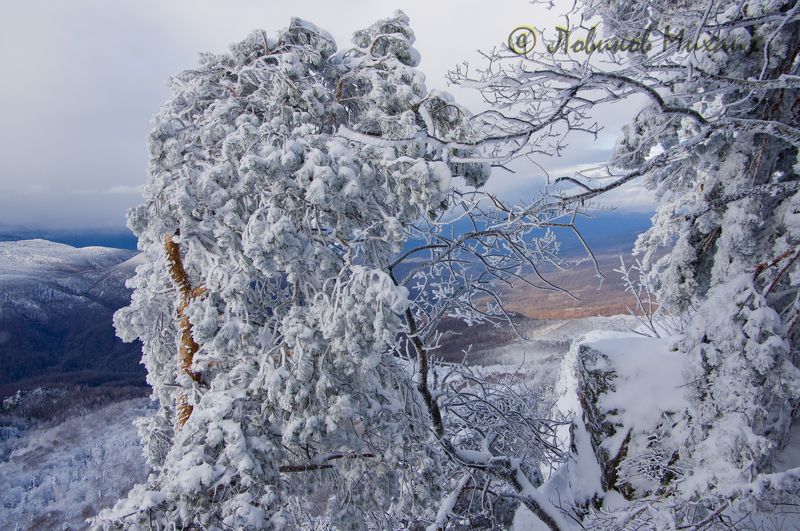 после снегопада фото превью