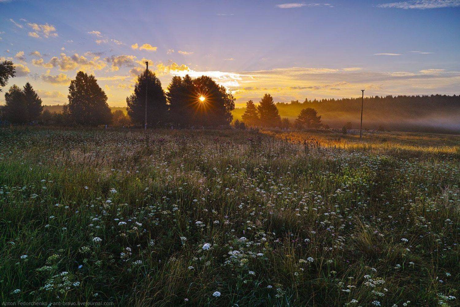 , Антон Федорченко