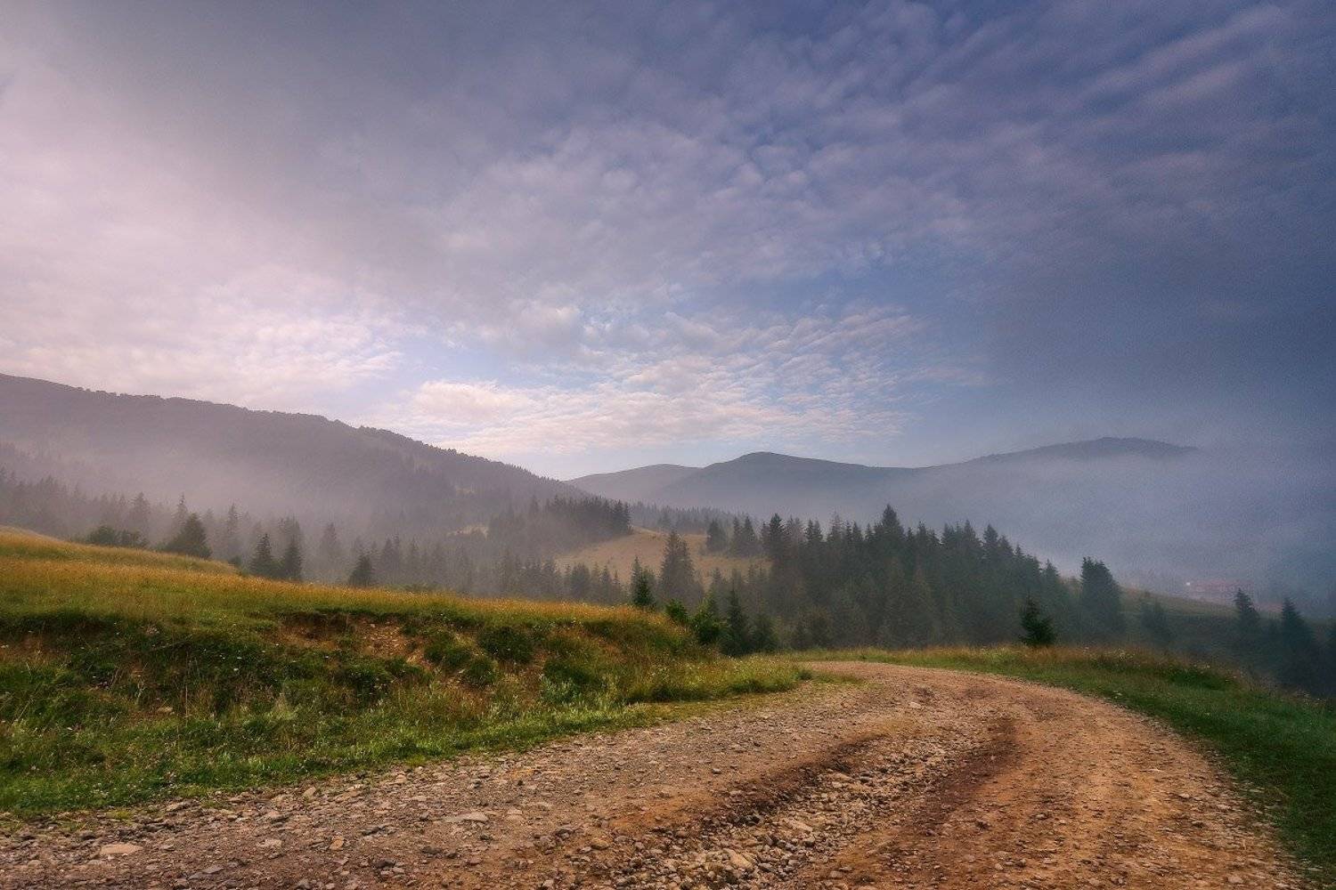 Июль, Карпаты, Лето, Туман, Украина, Утро, Вейзе Максим
