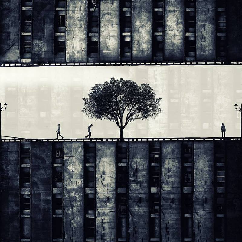 paradise, lost, miladsafabakhsh, swpa, sony, awards, shortlist, enhanced, creative, concept, human, building, architecture, tree, strret,  Paradise lost фото превью