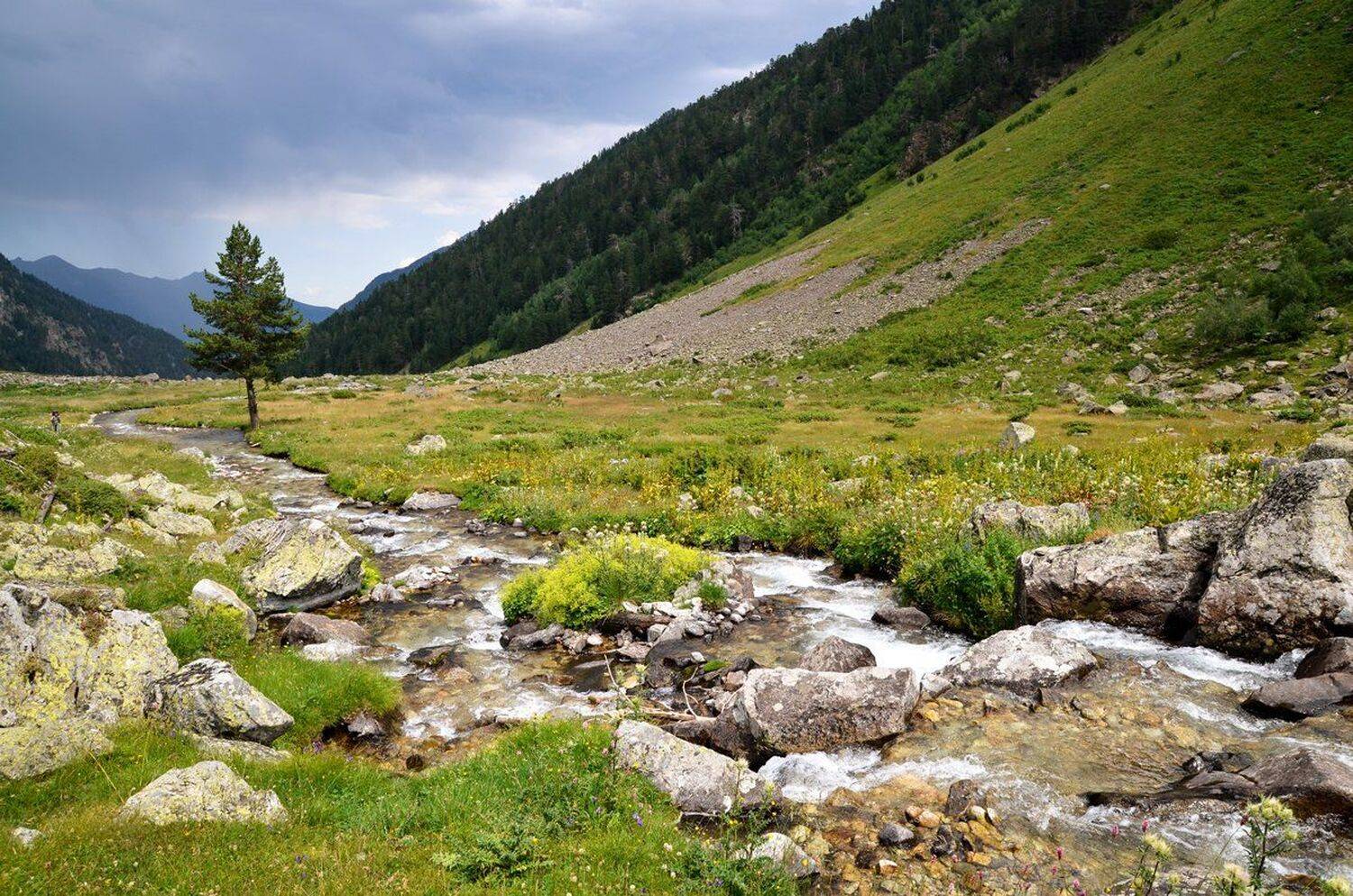 , Соболь Игорь