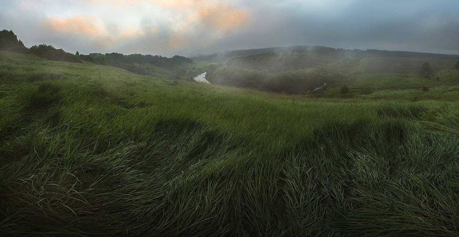 туман, река, излучина, трава, рассвет, Малышевы Влад и Ася