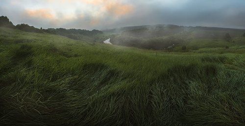 Перед рассветом