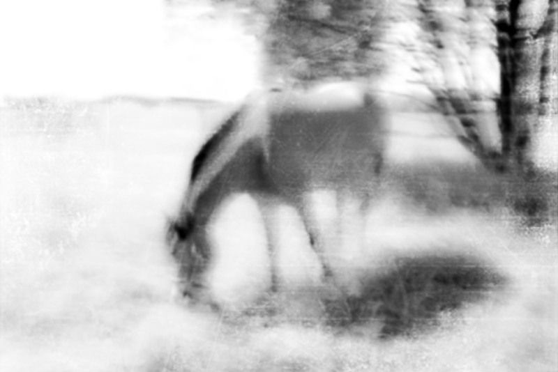 их никто не спрашивает.... фото превью