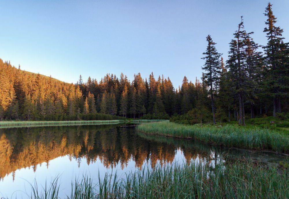 , Ярослав Тюрменко (Jaremi)