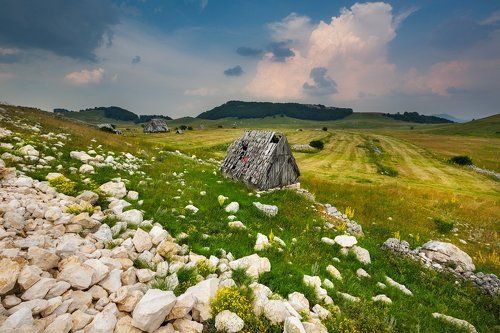 По дороге в Дурмитор (Черногория)