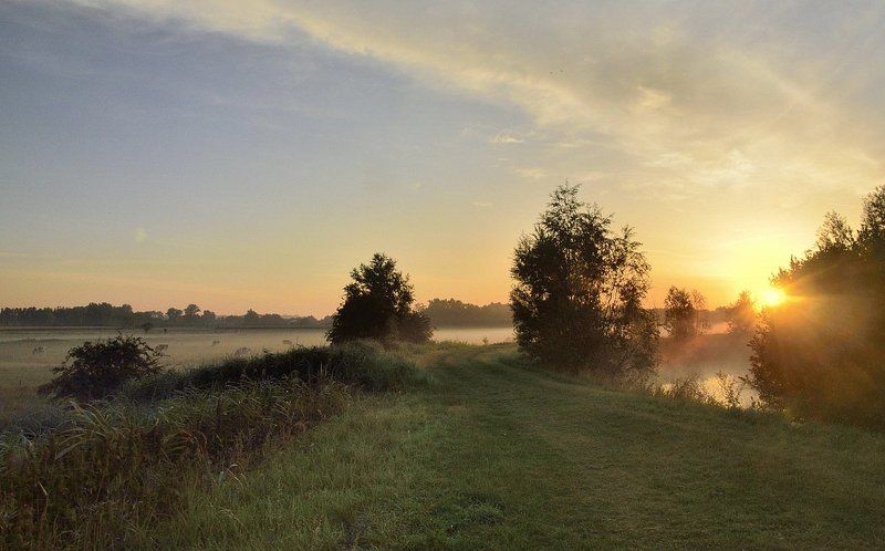 A summer morning. фото превью