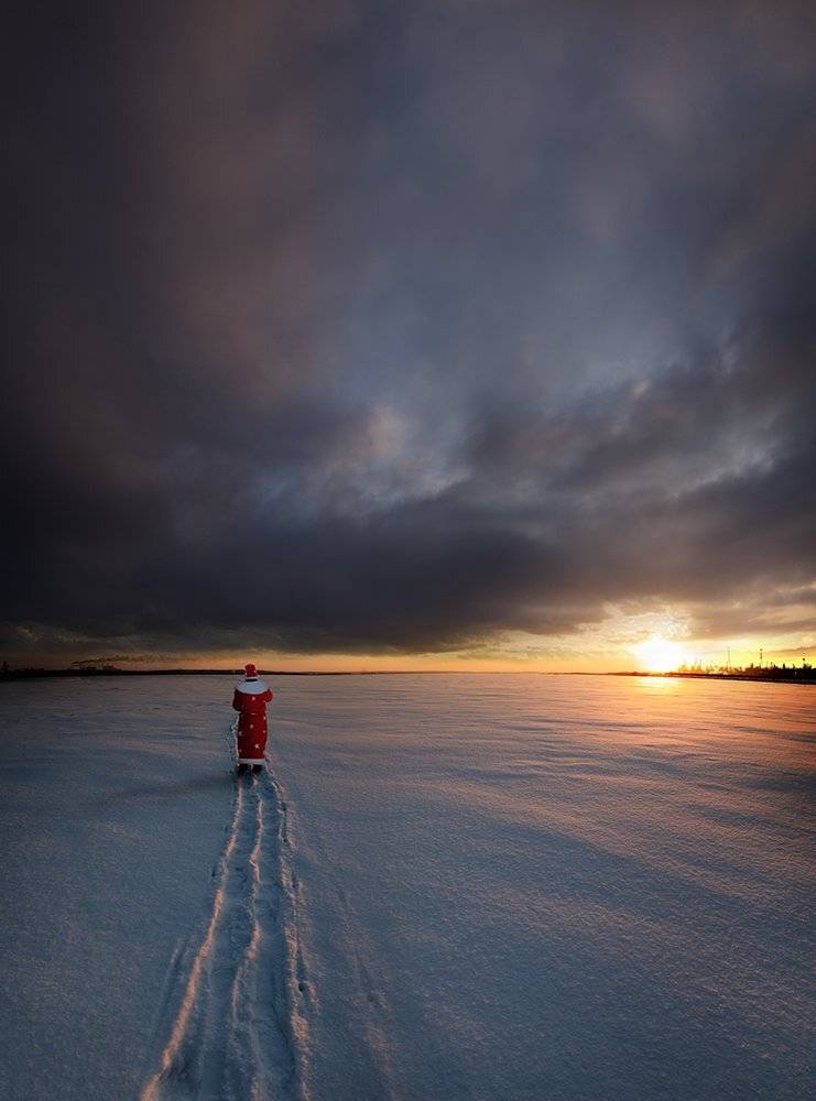 , Дeнис Бoдрoв