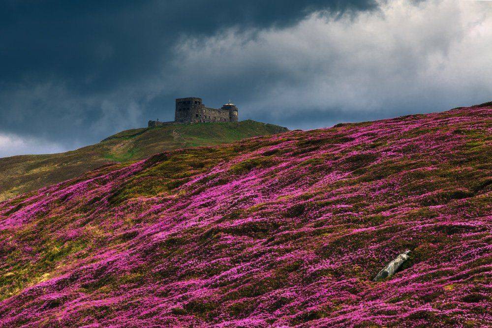 , Ярослав Тюрменко (Jaremi)