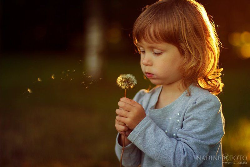 Sofi фото превью