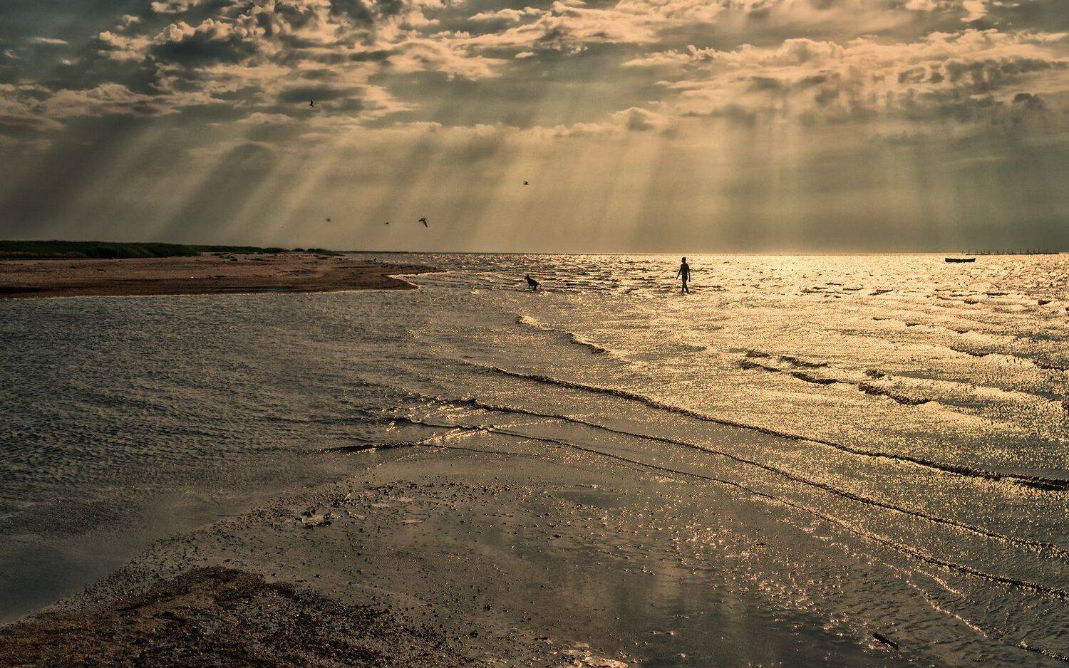 , Игорь Мелекесцев