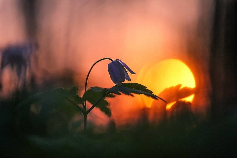 , Вячеслав Мищенко