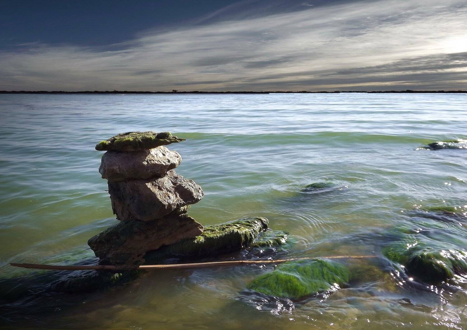 одесса, Сергей Кошелев