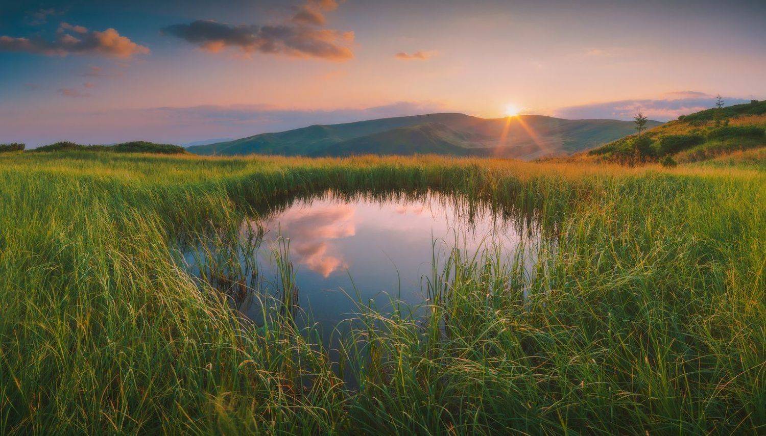 , Виталий Башкатов