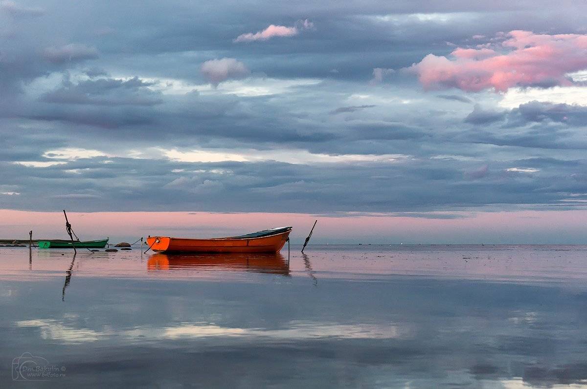 , Дмитрий Бакулин