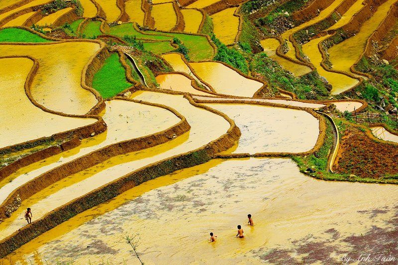 Mu Cang Chai in May фото превью