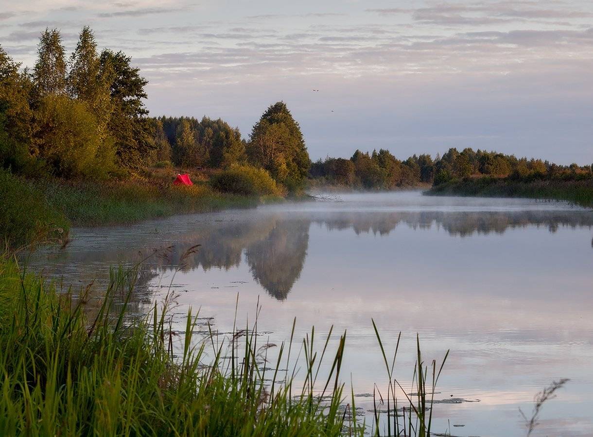 , Владимир Перепечаев