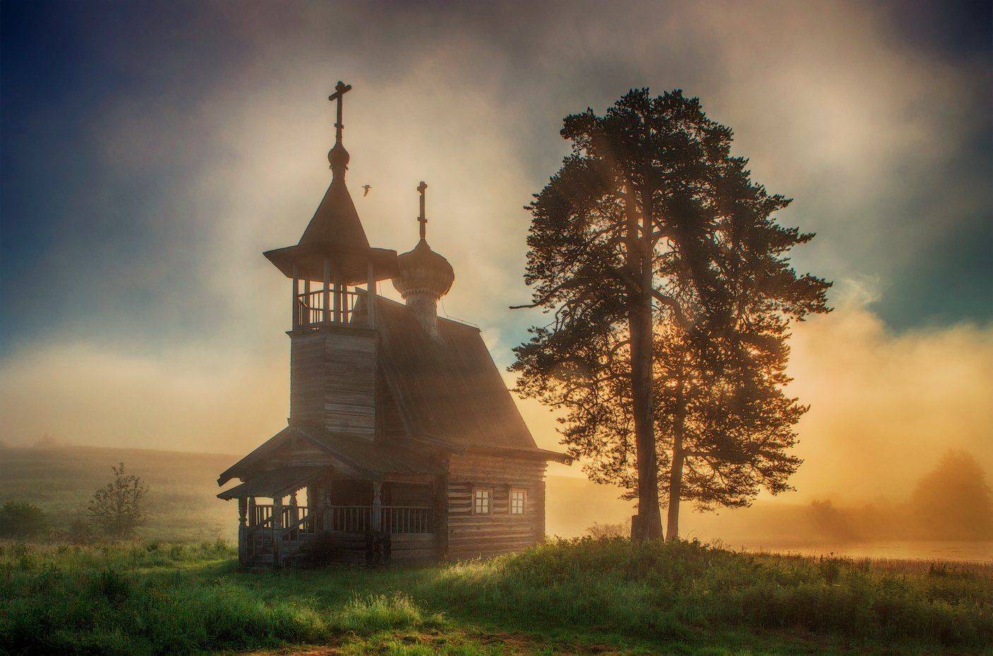 , Владимир Липецких