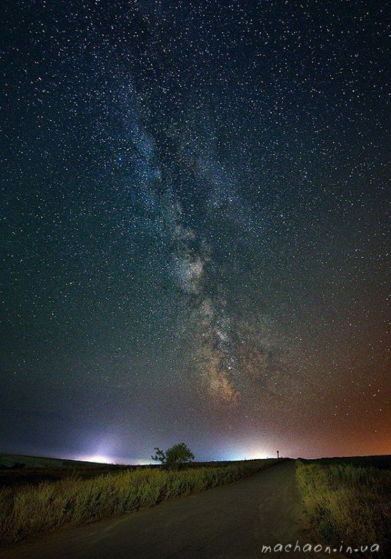 ночь, поля, подсолнухи, звёзды Ночное фото превью