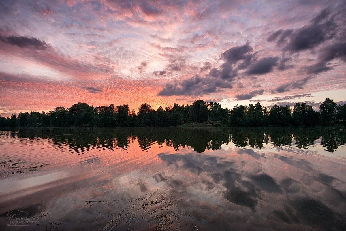 , Дмитрий Бакулин