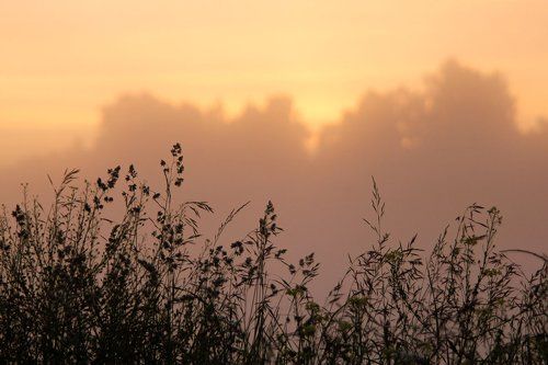 Утро туманное