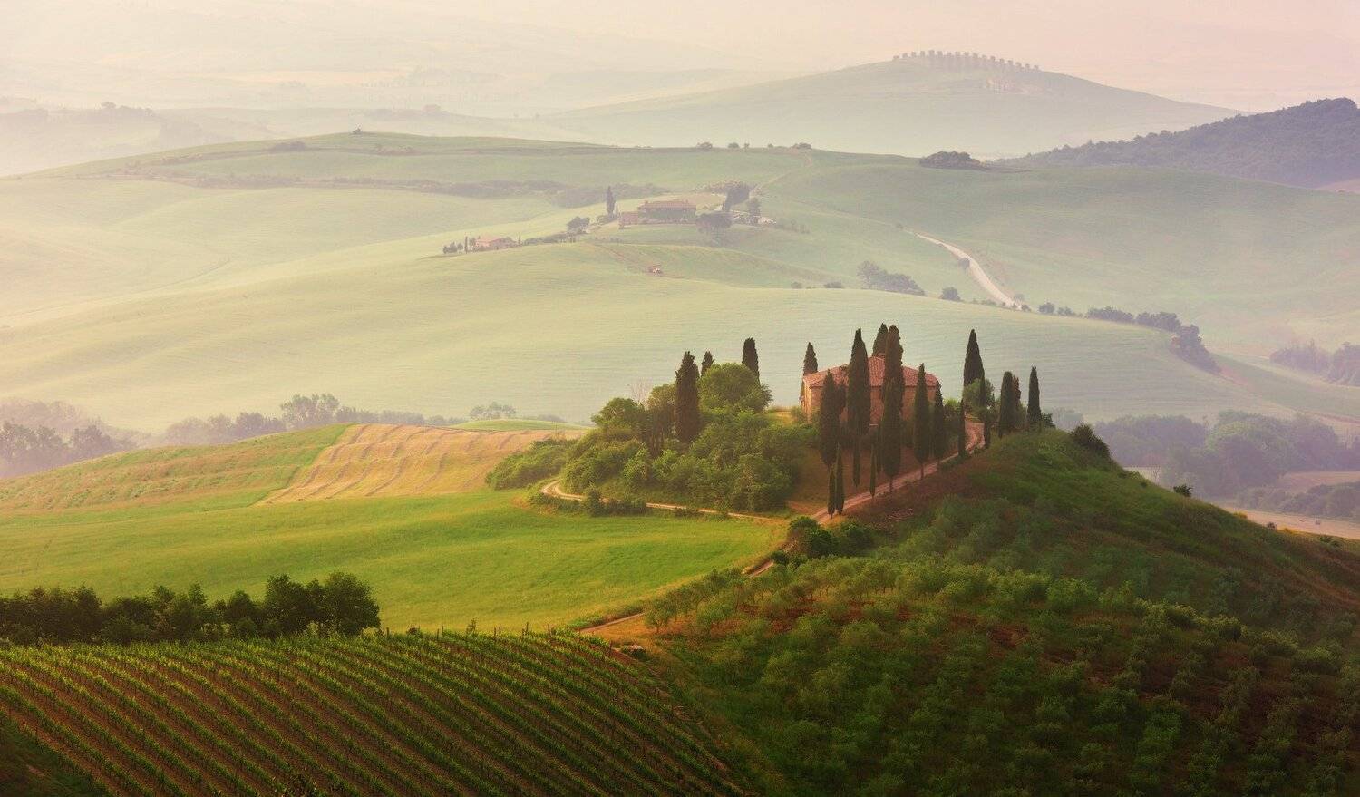 , Андрей Ведерников