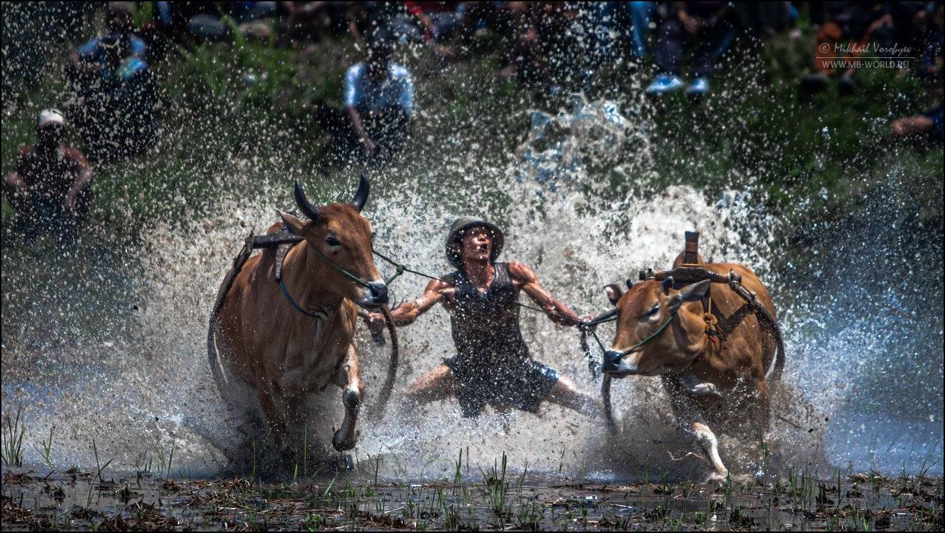 индонезия, суматра, спорт, фотопутешествие, клуб mb-world, Михаил