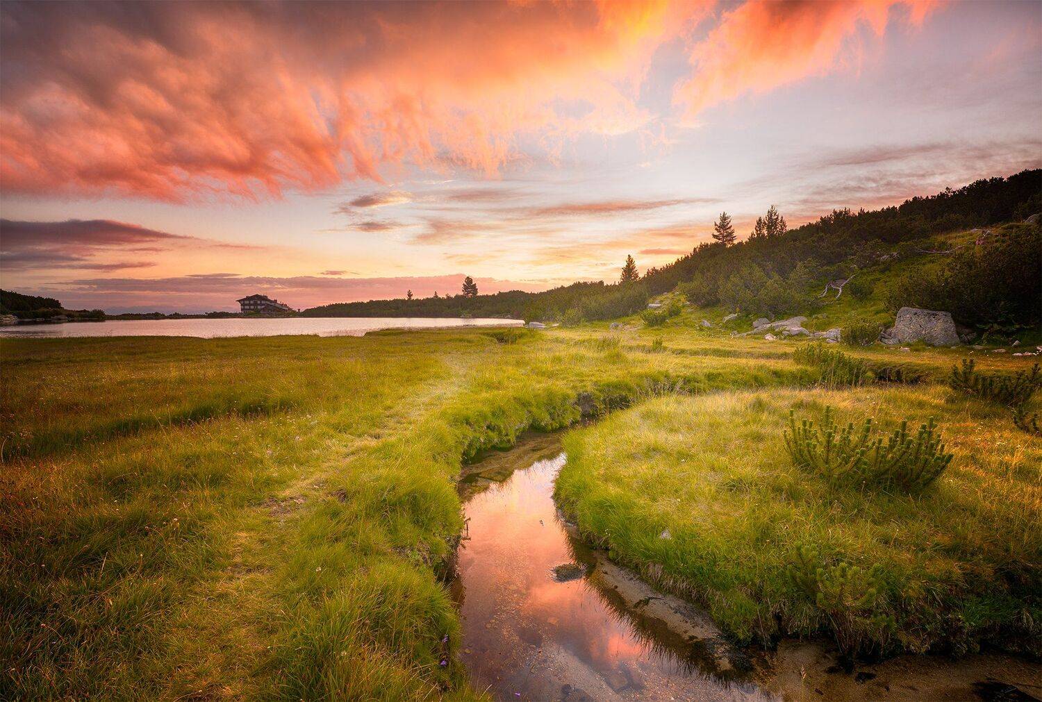 , Ева Йорданова