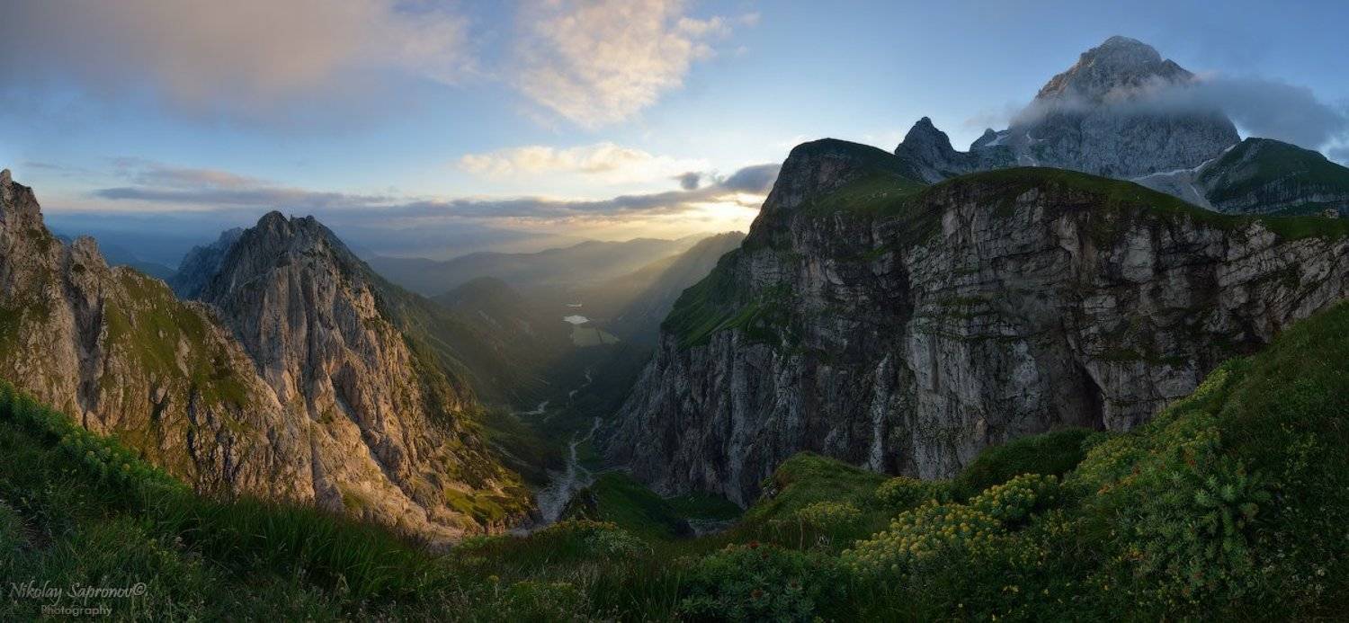 , Николай Сапронов