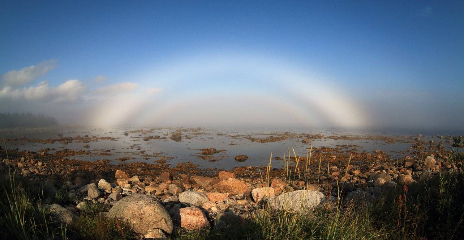 , Андрей Перешеин