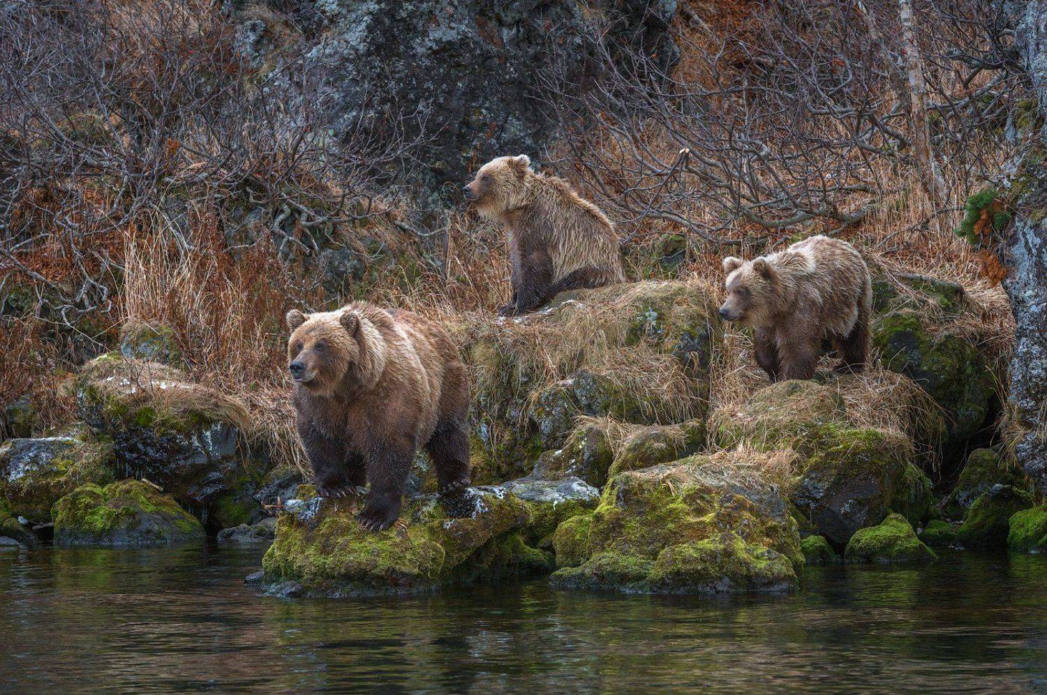 , Сергей Иванов