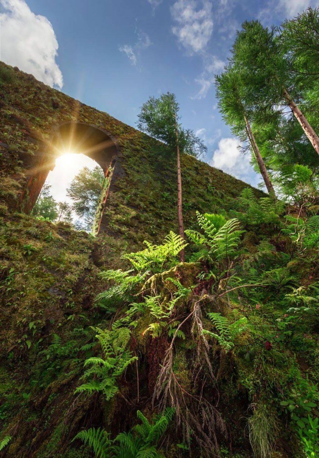 , Марк Сивак