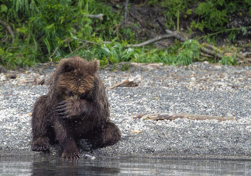 Стесняшка фото превью