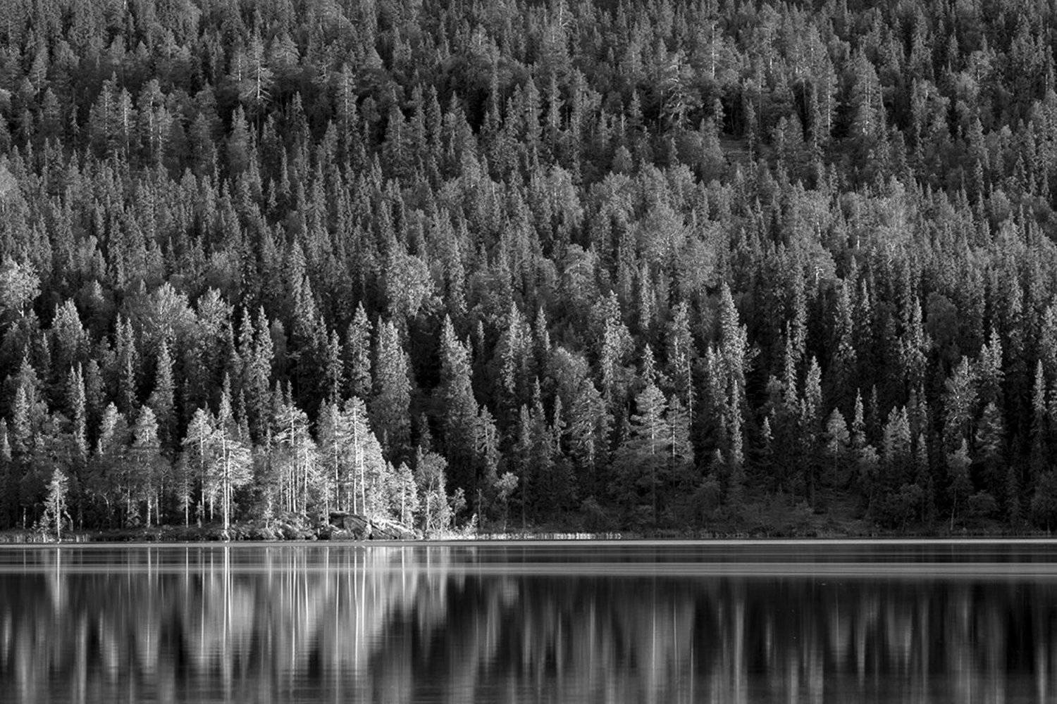 , Роман Рыжков