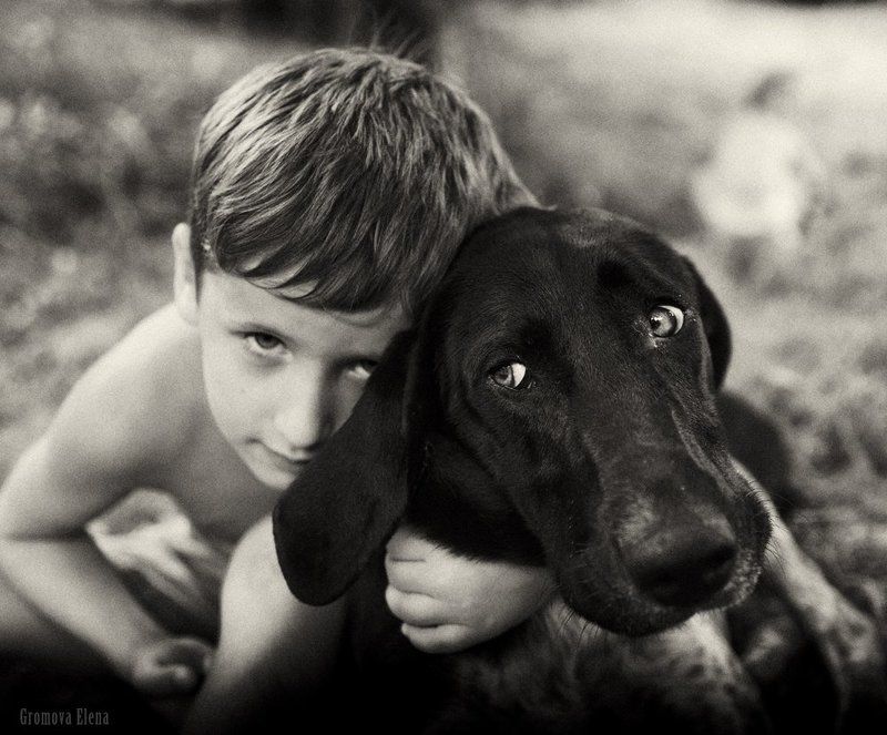 Я тебя никому не отдам фото превью