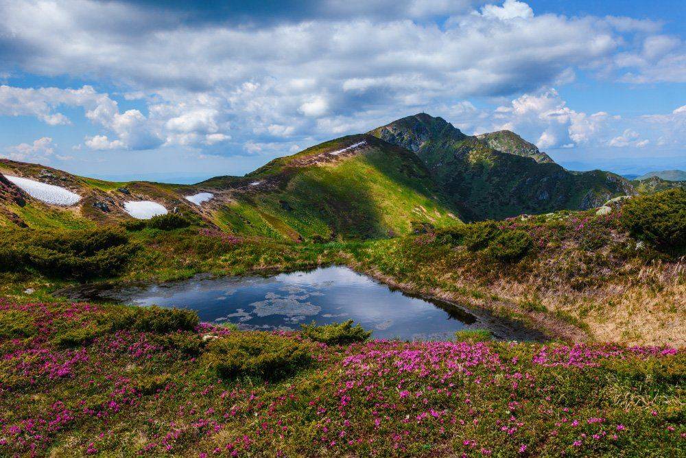 , Ярослав Тюрменко (Jaremi)