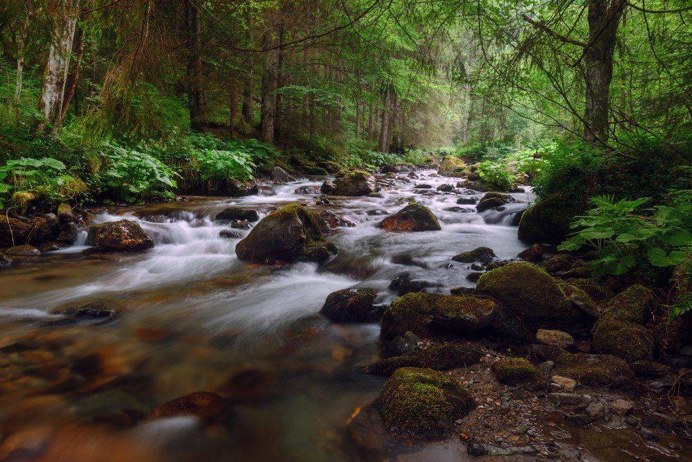 , Ярослав Тюрменко (Jaremi)