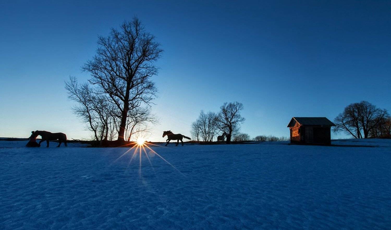 лошадь, конь, монахиня, зима, снег, дом, Малышевы Влад и Ася