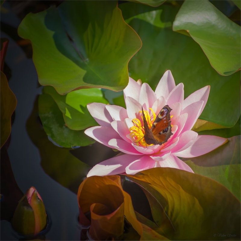 break for lunch фото превью