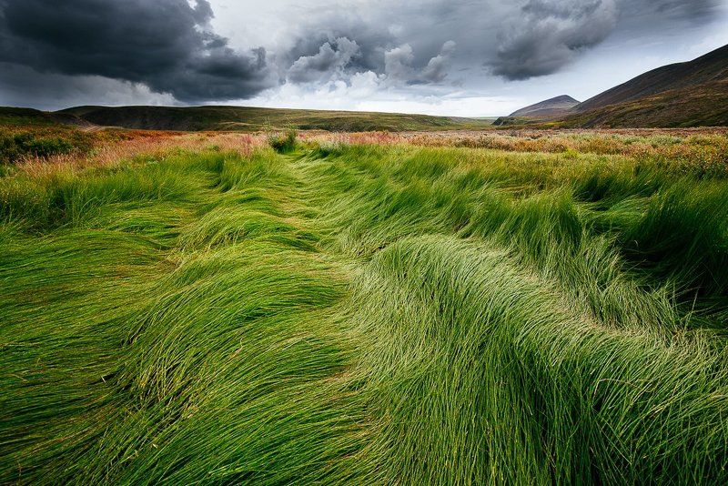 Оленеводы, Стан, Чукотка *** фото превью