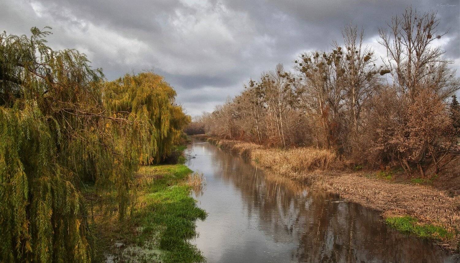 , Роман Красов
