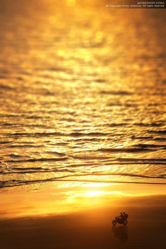 Вкус свободы (Индия, Paradise beach) фото превью