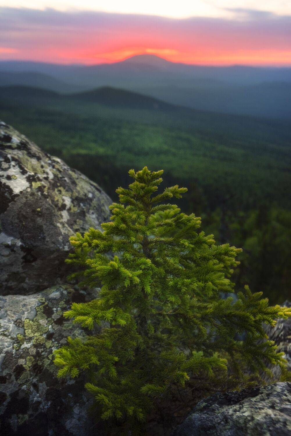 , Антонов Антон