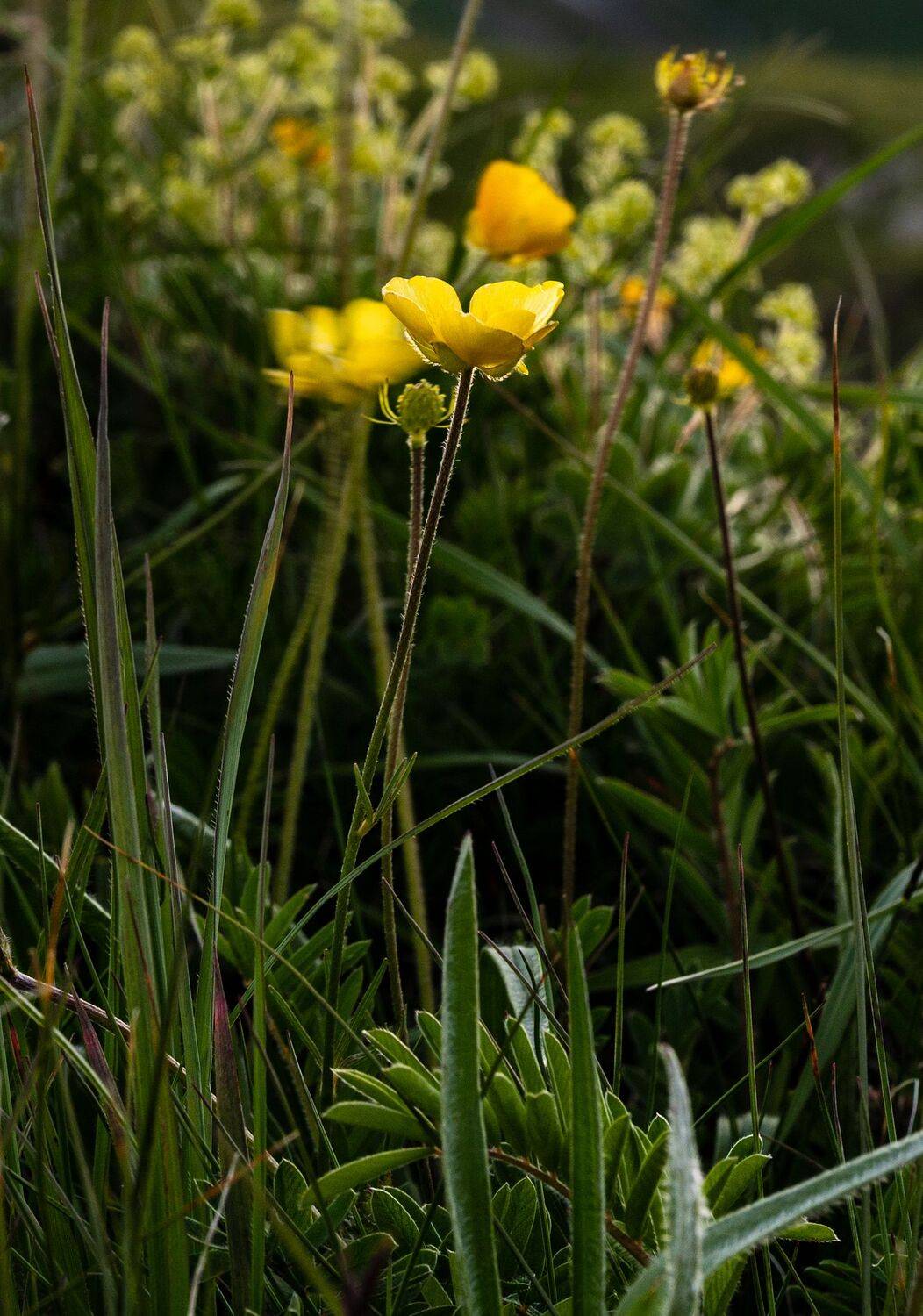 , Валерий Одинцов