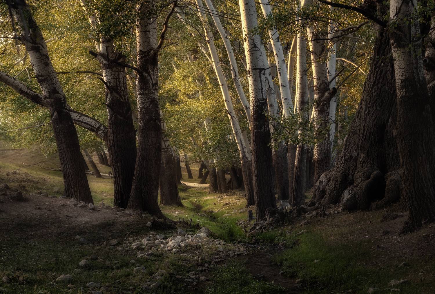 , Мозжухин Максим