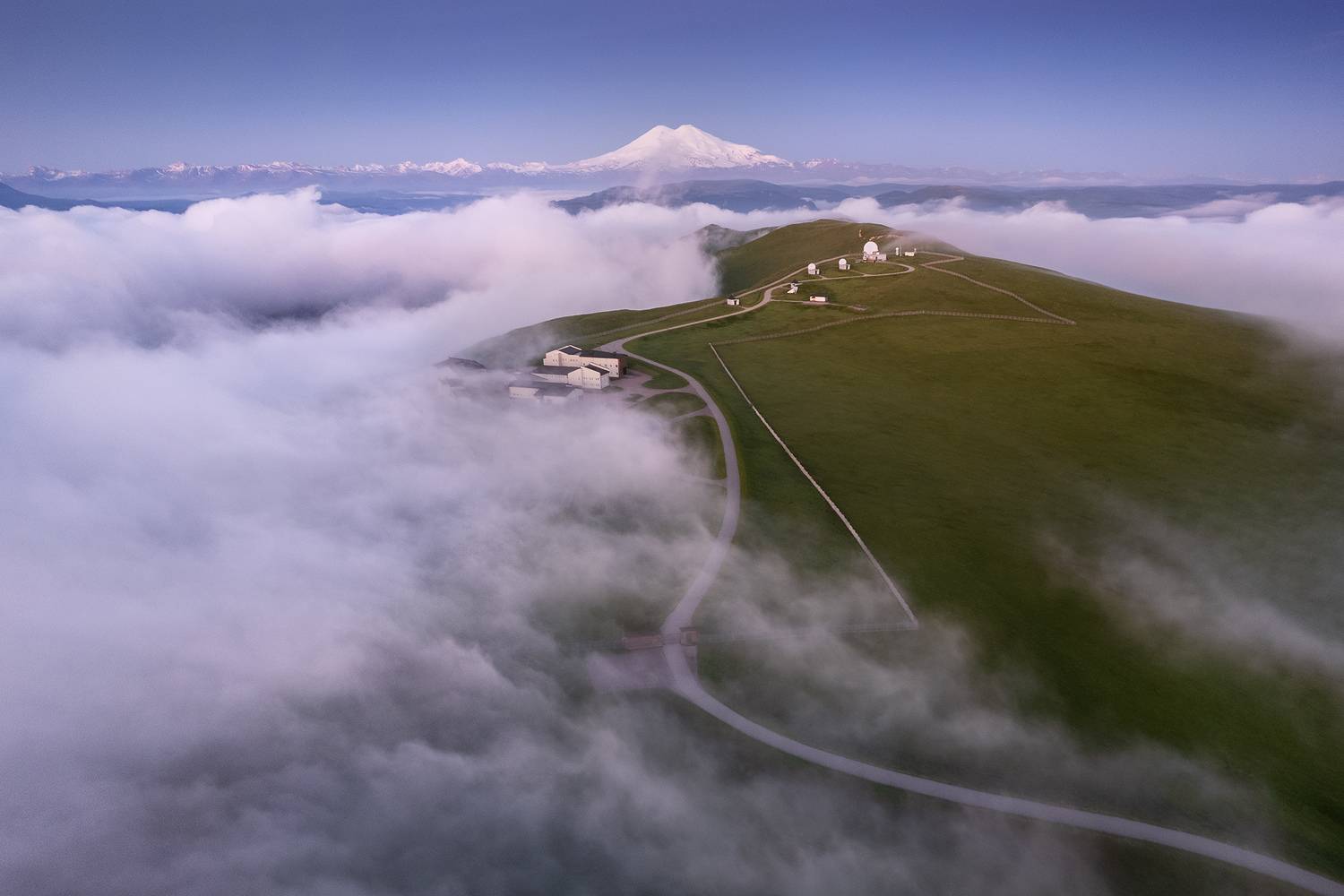 , Дмитрий Купрацевич