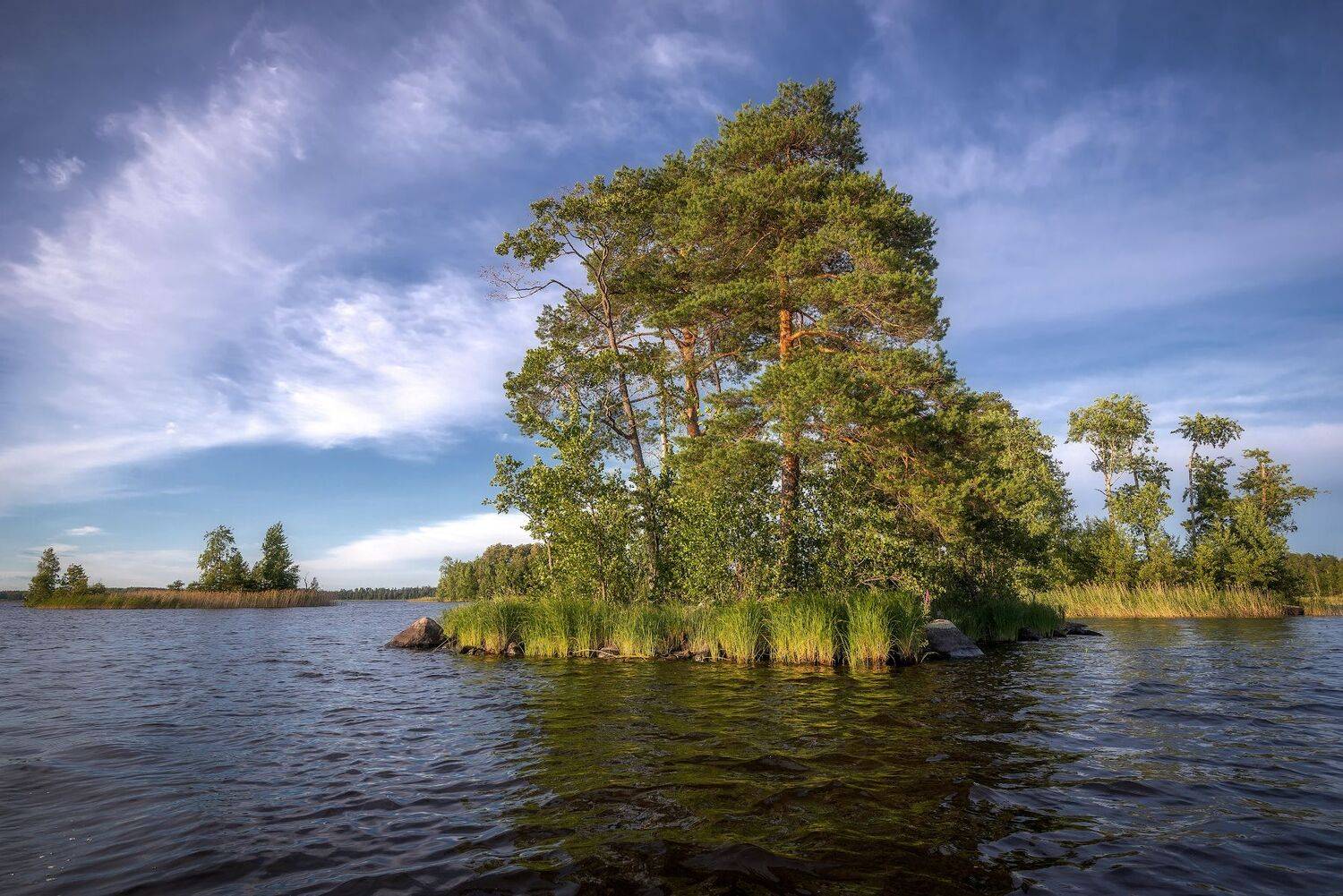 остров, Вуокса, июль, Сергей Аникин
