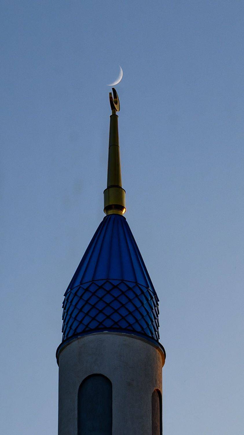 , Караваев Антон