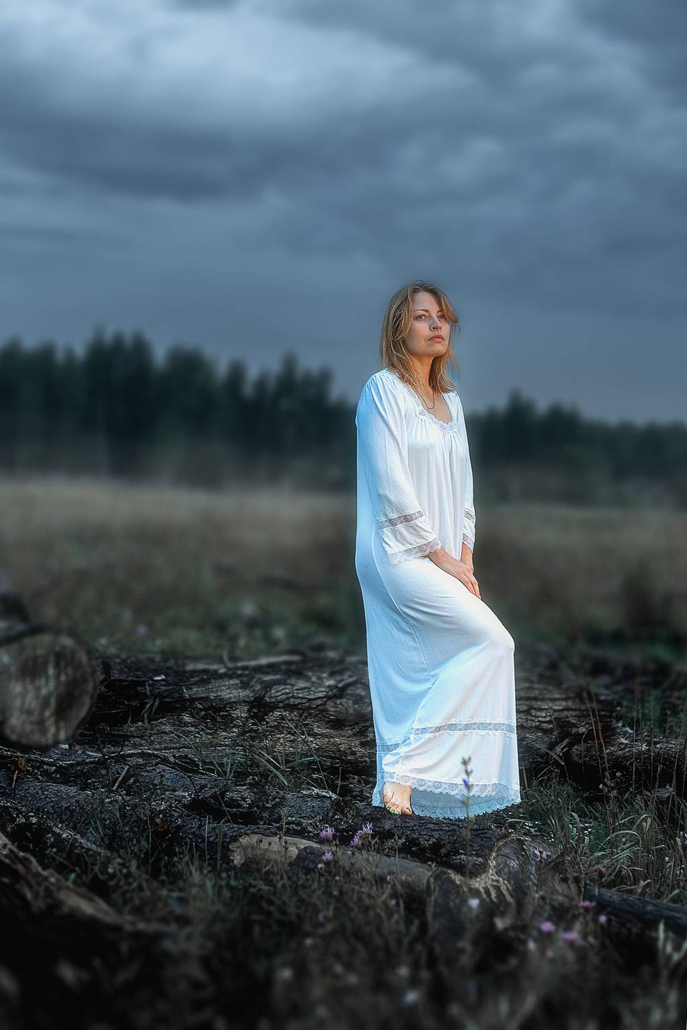 , Дмитрий Счеславский